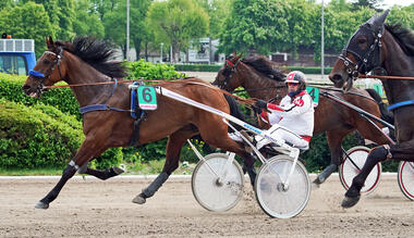 Glossy Girl zu langen Odds (Foto: Marius Schwarz) Glossy Girl zu langen Odds (Foto: Marius Schwarz)