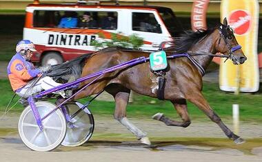 Fuggedaboutit und Tom Kooyman mit Siegchancen (Foto: traberfoto-sx.de) Fuggedaboutit und Tom Kooyman mit Siegchancen (Foto: traberfoto-sx.de)