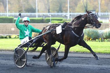 Bretagne-Vorjahressieger Hussard du Landret hat seine Rennlaufbahn dieser Tage beendet (Foto: Paris Turf)