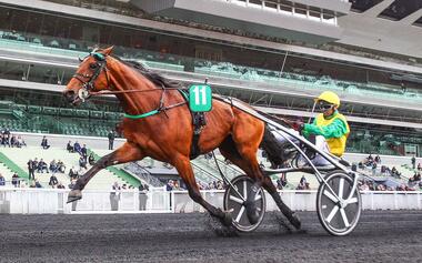 Begehrt: Face Time Bourbon (Foto: leparisien.fr)