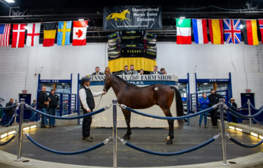 Für 215.000 Dollar ging Southwind Frank an Ron Burke (harnessracingupdate.com) Für 215.000 Dollar ging Southwind Frank an Ron Burke (harnessracingupdate.com)