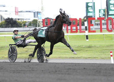 Captain Corey im 96. Hambletonian (Foto: news4jax.com) Captain Corey im 96. Hambletonian (Foto: news4jax.com)