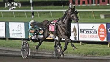 Captain Corey geht als Favorit ins Hambo-Finale (Foto: harnesslink.com) Captain Corey geht als Favorit ins Hambo-Finale (Foto: harnesslink.com)