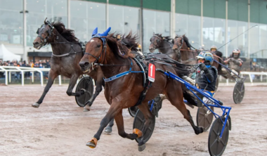 A Fair Day ist der erste Sieger der neuen V85-Wette (Foto: Travronden)