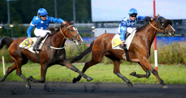 Ankunft im Prix Jean-Paul Fairand (Foto: equidia.fr)