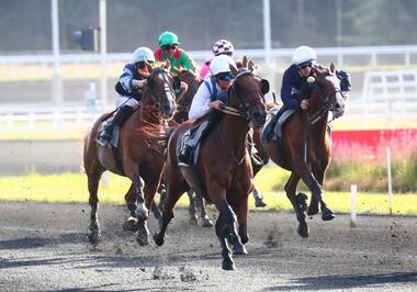 Granvillaise Bleue im Prix Guillaume de Bellaigue (Foto: letrot.com)