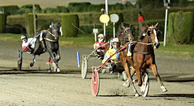 Akela Pal Ferm im 35. Palio (Foto: sulkysport.se)