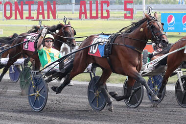 Oaks-Siegerin Heaven Hanover für 450.000 Dollar versteigert (Foto: drf.com) Oaks-Siegerin Heaven Hanover für 450.000 Dollar versteigert (Foto: drf.com)