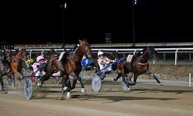 Executiv EK in der Hengst-Abteilung des Gran Premio Citta’ di Follonica (Foto: equos.it)