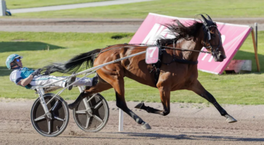 Allegiant bei ihrem Weltrekordlauf in Solvalla (Foto: LENA EMMOTH / TR BILD)