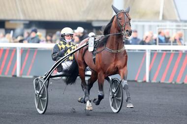 San Moteur in Vincennes (Foto: paris-turf.com) San Moteur in Vincennes (Foto: paris-turf.com)