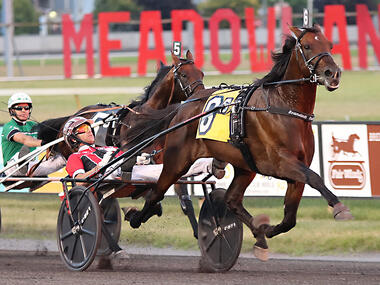 Alrajah One (Foto: harnesslink.com) Alrajah One (Foto: harnesslink.com)