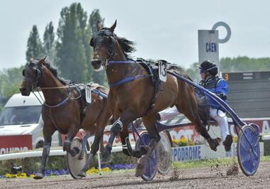 Etonnant im Prix des Ducs de Normandie (Foto: letrot.com) Etonnant im Prix des Ducs de Normandie (Foto: letrot.com)