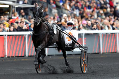 He And Me und Eric Raffin vor dem Prix de Paris (Foto: turfomania.fr)