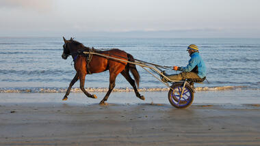 Hokkaido Jiel zurück in der Normandie (Foto: Le Trot)