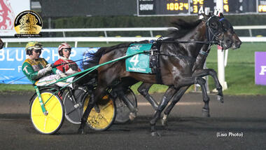 Rebuff, von Tim Tetrick mit aller Finesse zusammengehalten (Foto: standardbredcanada.ca) Rebuff, von Tim Tetrick mit aller Finesse zusammengehalten (Foto: standardbredcanada.ca)