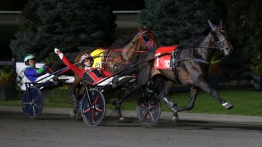 So heiß und schnell wie seine Mutter: Apex in den Mohawk Million (Foto: woodbine.com) So heiß und schnell wie seine Mutter: Apex in den Mohawk Million (Foto: woodbine.com)