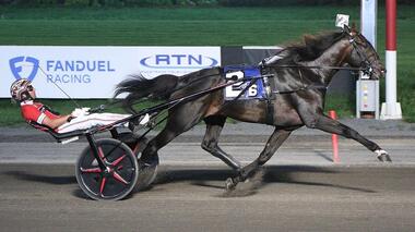 Hambo-Favorit Apex auch im Stanley Dancer Memorial (Foto: USTrotting News)