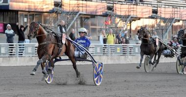 Björn Goop gewann beide Hauptrennen, mit San Moteur den Prix Readly Express (Foto: nwt.se) Björn Goop gewann beide Hauptrennen, mit San Moteur den Prix Readly Express (Foto: nwt.se)