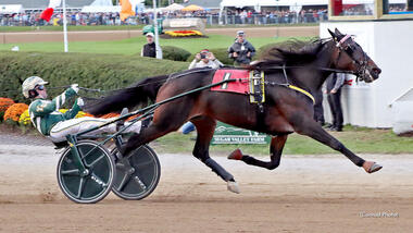 Atlanta im Miss Versatility Trot Final (Fotos: standardbredcanada.ca) Atlanta im Miss Versatility Trot Final (Fotos: standardbredcanada.ca)
