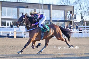 Neuf du Pape und Ronja Walter in Odense (Foto: gormfoto.dk)