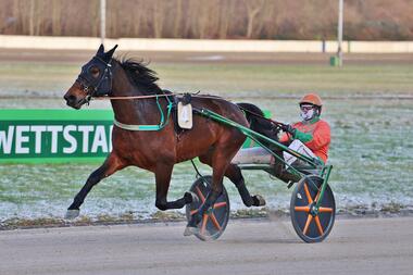 Starker Zweiter in Vincennes: Duke of New York (Archivfoto: Dennis Kraum)