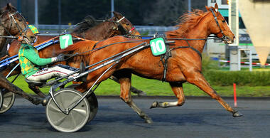 Dorgos de Guez im Prix de Brest (Foto: province-courses.fr)