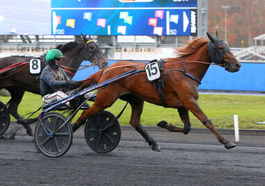 Inoubliable im Prix Annick Dreux (Foto: letrot.com) Inoubliable im Prix Annick Dreux (Foto: letrot.com)