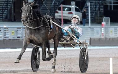 Fit für Paris: Don Fanucci Zet (Foto: Facebook Solvalla) Fit für Paris: Don Fanucci Zet (Foto: Facebook Solvalla)