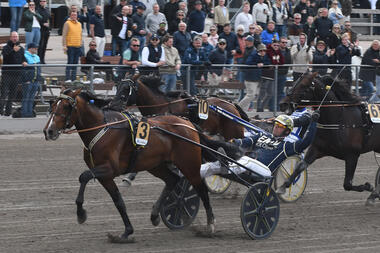 Night Brodde mit Conrad Lugauer (Foto: Facebook Halmstad Travet) Night Brodde mit Conrad Lugauer (Foto: Facebook Halmstad Travet)