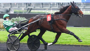 Jushua Tree im Prix Marcel Laurent (Foto: letrot.com) Jushua Tree im Prix Marcel Laurent (Foto: letrot.com)