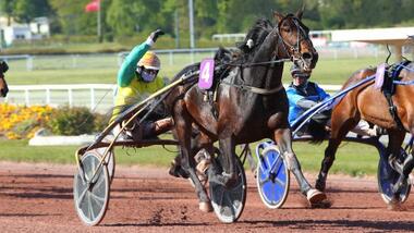 Vivid Wise As und ein jubelnder Alessandro Gocciadoro (Foto: paris-turf.com)