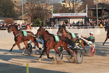 Atik DL im Gran Premio Encat (Foto: equos.it) Atik DL im Gran Premio Encat (Foto: equos.it)