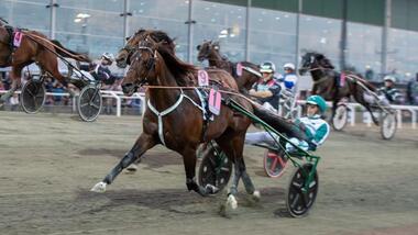 Who's Who im Hugo Åbergs Memorial (Foto: equos.it) Who's Who im Hugo Åbergs Memorial (Foto: equos.it)