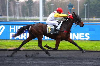 Idaho à la Bruyère im Prix de Dozulé (Foto: equidia.fr) Idaho à la Bruyère im Prix de Dozulé (Foto: equidia.fr)