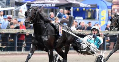 Admiral As im Åby Stora Pris (Foto: Facebook Åbytravet) Admiral As im Åby Stora Pris (Foto: Facebook Åbytravet)