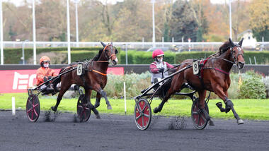 Zweijähriger Hohneck-Sohn Monzon Normand imponiert im Prix Timoko (Foto: letrot.com) Zweijähriger Hohneck-Sohn Monzon Normand imponiert im Prix Timoko (Foto: letrot.com)