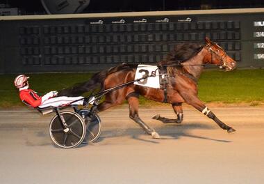 Bella Bellini auch in den Matron Stakes (Foto: harnesslink.com)