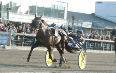 Milligan's School - 1:11,9 über 3140 Meter! (Foto: harnessracingupdate.com) Milligan's School - 1:11,9 über 3140 Meter! (Foto: harnessracingupdate.com)