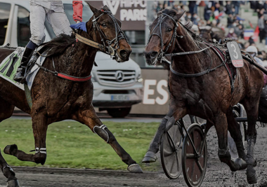 (Quelle: letrot.com) (Quelle: letrot.com)