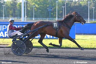 Just a Gigolo mit Franck Nivard im Prix Paul Karle (Foto: geny.com) Just a Gigolo mit Franck Nivard im Prix Paul Karle (Foto: geny.com)