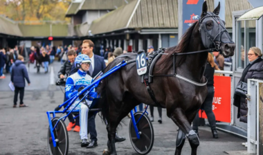 Borups Victory hat Paris mittlerweile verlassen (Foto: Le Trot)