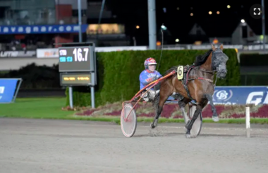 Bedazzled Sox gewann mit Torbjörn Jansson ein Breeders-Crown-Vorlauf (Archivfoto: Travronden) Bedazzled Sox gewann mit Torbjörn Jansson ein Breeders-Crown-Vorlauf (Archivfoto: Travronden)
