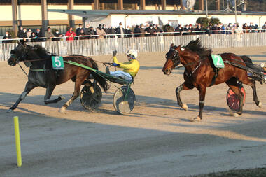 Dicke Überraschung im Gran Premio Ettore e Mario Barbetta (Foto: equos.it) Dicke Überraschung im Gran Premio Ettore e Mario Barbetta (Foto: equos.it)