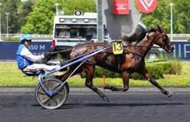 Décoloration im Prix du Gâtinais (Foto: news.eseuro.com) Décoloration im Prix du Gâtinais (Foto: news.eseuro.com)