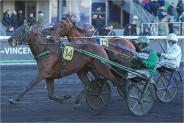 Brothers in Arms (12) starker Zweiter in Vincennes (Foto: Equidia)