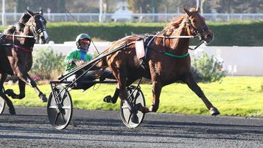Kika Josselyn im Prix de Rouen (Foto: Le Trot)