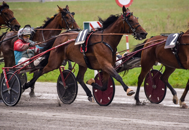 Chance EK im Gran Premio Renzo Orlandi (Foto: equos.it)