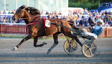 Chamant de Zack im Stig Lindmarks Styrkeprov (Foto: travronden.se)