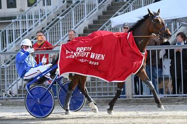 Hello Sport nach dem Preis der Stadt Wien (Foto: Eddy Risavy) Hello Sport nach dem Preis der Stadt Wien (Foto: Eddy Risavy)